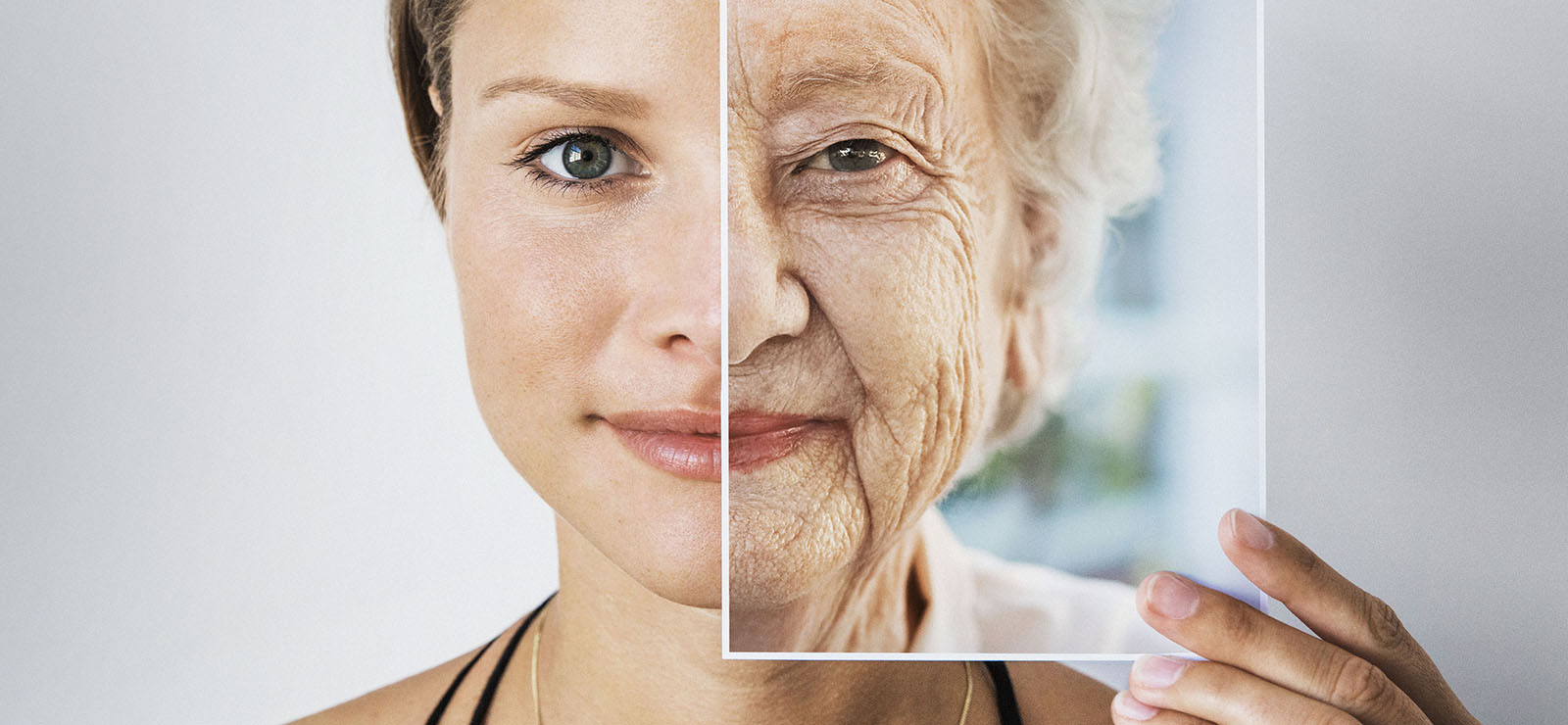 Fight Aging Online Price, Save 60% | jlcatj.gob.mx