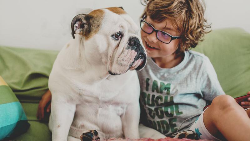Young boy with his bulldog